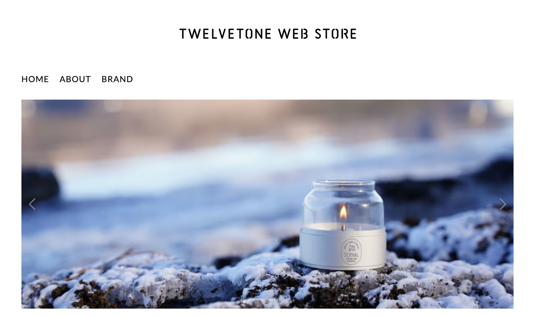 WEB STORE