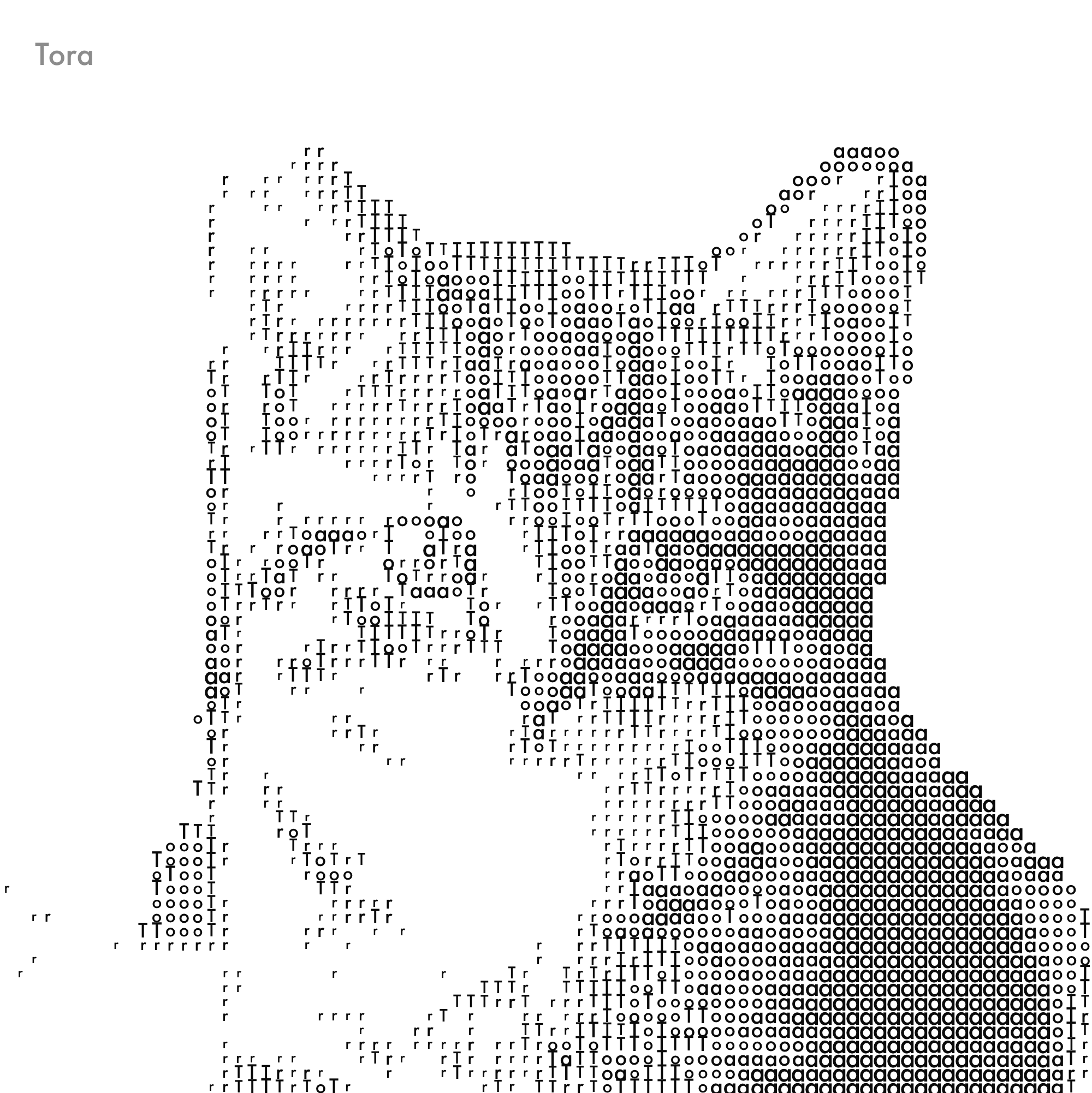 Typography cat art